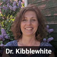 Dr.-Kibblewhite